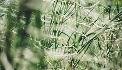 Kako narediti amulet za srečo z lastnimi rokami