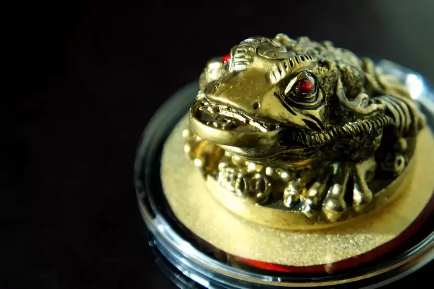 amulet za srečo - trinožna krastača